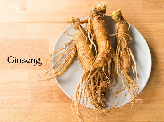 The Incredible Benefits of Panax Ginseng for Your Skin