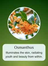 PAGEFLY ingre1 1080 (3).jpg__PID:c8e84fcc-6ced-4727-a1a8-624bbfbd886b