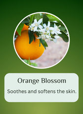 PAGEFLY ingre1 1080 (7).jpg__PID:c44b27d1-61ae-4760-8c80-70a91427ed95